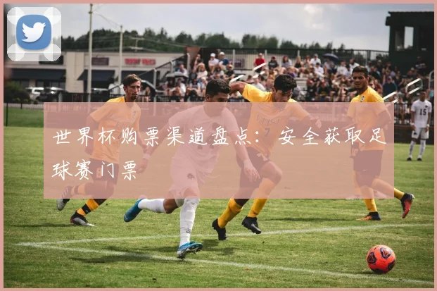 世界杯购票渠道盘点：安全获取足球赛门票
