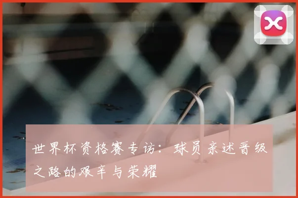 世界杯资格赛专访：球员亲述晋级之路的艰辛与荣耀