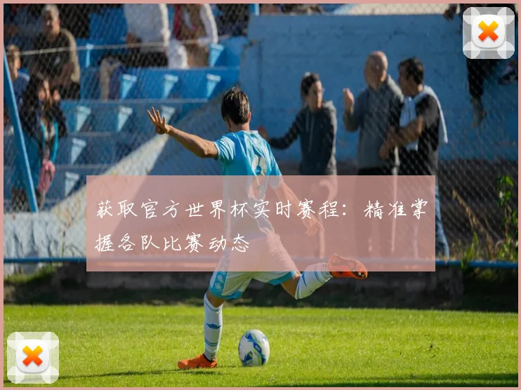 获取官方世界杯实时赛程：精准掌握各队比赛动态