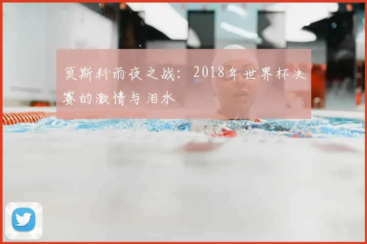 莫斯科雨夜之战：2018年世界杯决赛的激情与泪水