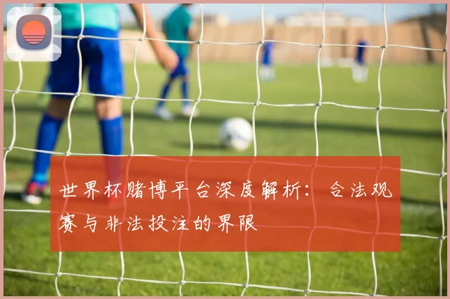 世界杯赌博平台深度解析：合法观赛与非法投注的界限