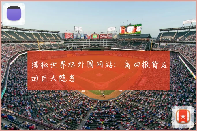 揭秘世界杯外围网站：高回报背后的巨大隐患