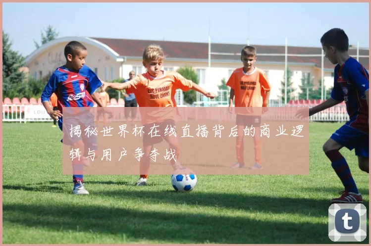 揭秘世界杯在线直播背后的商业逻辑与用户争夺战