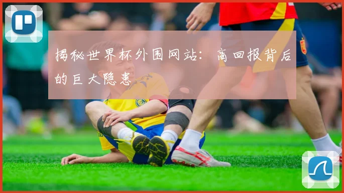揭秘世界杯外围网站：高回报背后的巨大隐患